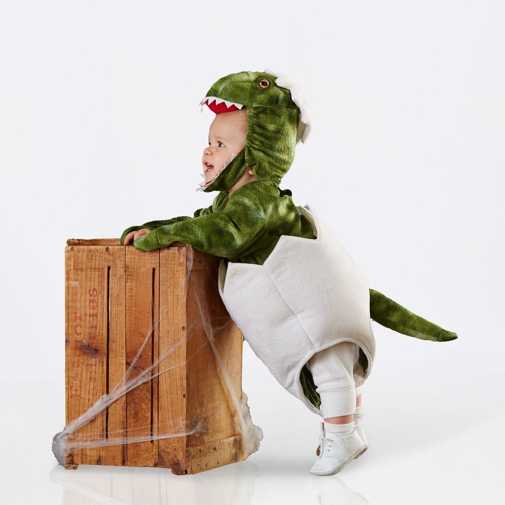 Pottery Barn Kids Dino hatching from egg Costume - Picture 3 of 6